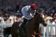 Can Toronado repeat his Ascot heroics at Goodwood?