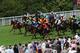 CHICHESTER, ENGLAND - AUGUST 03: A General view of the field in action during the Robins Farm Steward's Cup at Goodwood on August 3, 2013 in Chichester, England. (Photo by Steve Bardens/Getty Images)
