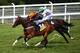 CHICHESTER, ENGLAND - JULY 30: Silvestre De Sousa riding Teak (orang cap) comes through to win The Goodwood Stakes at Goodwood racecourse on July 30, 2014 in Chichester, England. (Photo by Charlie Crowhurst/Getty Images)