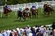 CHICHESTER, ENGLAND - JULY 30: Silvestre De Sousa riding Teak (orang cap) comes through to win The Goodwood Stakes at Goodwood racecourse on July 30, 2014 in Chichester, England. (Photo by Charlie Crowhurst/Getty Images)