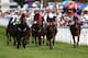 CHICHESTER, ENGLAND - JULY 30: Richard Kingscote riding Royal Razalma (R, blue cap) wins The Markel Insurance Maiden Fillies' Stakes at Goodwood racecourse on July 30, 2014 in Chichester, England. (Photo by Charlie Crowhurst/Getty Images)
