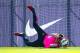 Marc-Andre ter Stegen is in the best position.