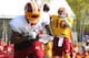 Jul 25, 2014; Richmond, VA, USA; Washington Redskins quarterback Robert Griffin III (10) throws the ball to Redskins wide receiver DeSean Jackson (1) during practice on day three of training camp at Bon Secours Washington Redskins Training Center. Mandato