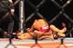Belfort knocking out Rockhold at UFC on FX 8