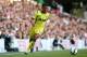 Kyle Naughton is a valuable member of the Spurs squad, but could be looking for a move elsewhere if Yedlin is signed.