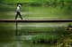 LOUISVILLE, KY - AUGUST 08: Tiger Woods of the United States walks over a bridge to the ninth hole during the second round of the 96th PGA Championship at Valhalla Golf Club on August 8, 2014 in Louisville, Kentucky. (Photo by Andy Lyons/Getty Images)