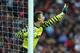 Edwin van der Sar played in a Champions League final aged 40