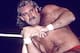 Magnum TA