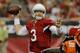 Carson Palmer's struggles continued against the Bengals.