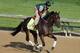 LOUISVILLE, KY - MAY 01: Itsmyluckyday trains on the track in preparation for the 2013 Kentucky Derby at Churchill Downs on May 1, 2013 in Louisville, Kentucky. (Photo by Rob Carr/Getty Images)