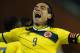 BRUSSELS, BELGIUM - NOVEMBER 14: Radamel Falcao of Columbia celebrates scoring their first goal during the International Friendly match between Belgium and Columbia at King Baudouin Stadium on November 14, 2013 in Brussels, Belgium. (Photo by Christophe
