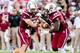 South Carolina QB Dylan Thompson and RB Mike Davis
