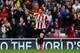 SUNDERLAND, ENGLAND - MAY 11: Fabio Borini of Sunderland celebrates as he scores their first goal during the Barclays Premier League match between Sunderland and Swansea City at Stadium of Light on May 11, 2014 in Sunderland, England. (Photo by Paul Tho