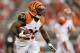 GLENDALE, AZ - AUGUST 24: Running back Giovani Bernard #25 of the Cincinnati Bengals rushes the football against the Arizona Cardinals during the preseason NFL game at the University of Phoenix Stadium on August 24, 2014 in Glendale, Arizona. The Bengal