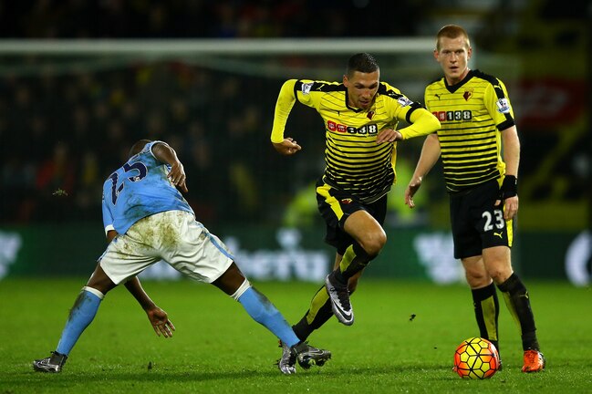 Image result for watford 2016