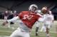 Wide receiver Noah Brown is one of the players Ohio State hopes to see a breakout season from.