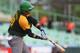 The 31-year-old Gourriel has put up impressive numbers in Cuba.