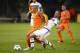 Feghouli will be available as a free transfer in June.