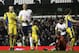 White Hart Lane roars in delight after Pavlyuchenko scores against Leeds United in the 2010 FA Cup fourth round.