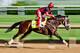LOUISVILLE, KENTUCKY - MAY 01: Classic Empire, owned by John Oxley and trained by Mark E. Casse, exercises in preparation for the Kentucky Derby during Kentucky Derby and Oaks preparations at Churchill Downs on May 1, 2017 in Louisville, Kentucky. (Photo