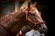 Irish War Cry