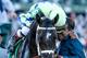 John Velazquez celebrates his Kentucky Derby victory.
