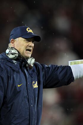 Bearing the Pain: Why Jeff Tedford's Job Is Safe When It Really Shouldn't Be