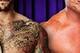 Image Courtesy of: wwehunks.com