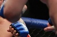 UFC 142 Results: What Chad Mendes Did Wrong Against Jose Aldo