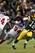 GREEN BAY, WI - JANUARY 15: Aaron Rodgers #12 of the Green Bay Packers runs with the ball against Mathias Kiwanuka #94 and Deon Grant #34 of the New York Giants during their NFC Divisional playoff game at Lambeau Field on January 15, 2012 in Green Bay, Wisconsin. (Photo by Jamie Squire/Getty Images)