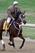 Havre de Grace is about to make history on Monday