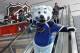 OTTAWA, ON - JANUARY 27: Louie, the mascot for the St. Louis Blues makes an appearance at the Scotiabank NHL Fan Fair at the Ottawa Convention Center on January 27, 2012 in Ottawa, Canada. (Photo by Bruce Bennett/Getty Images)