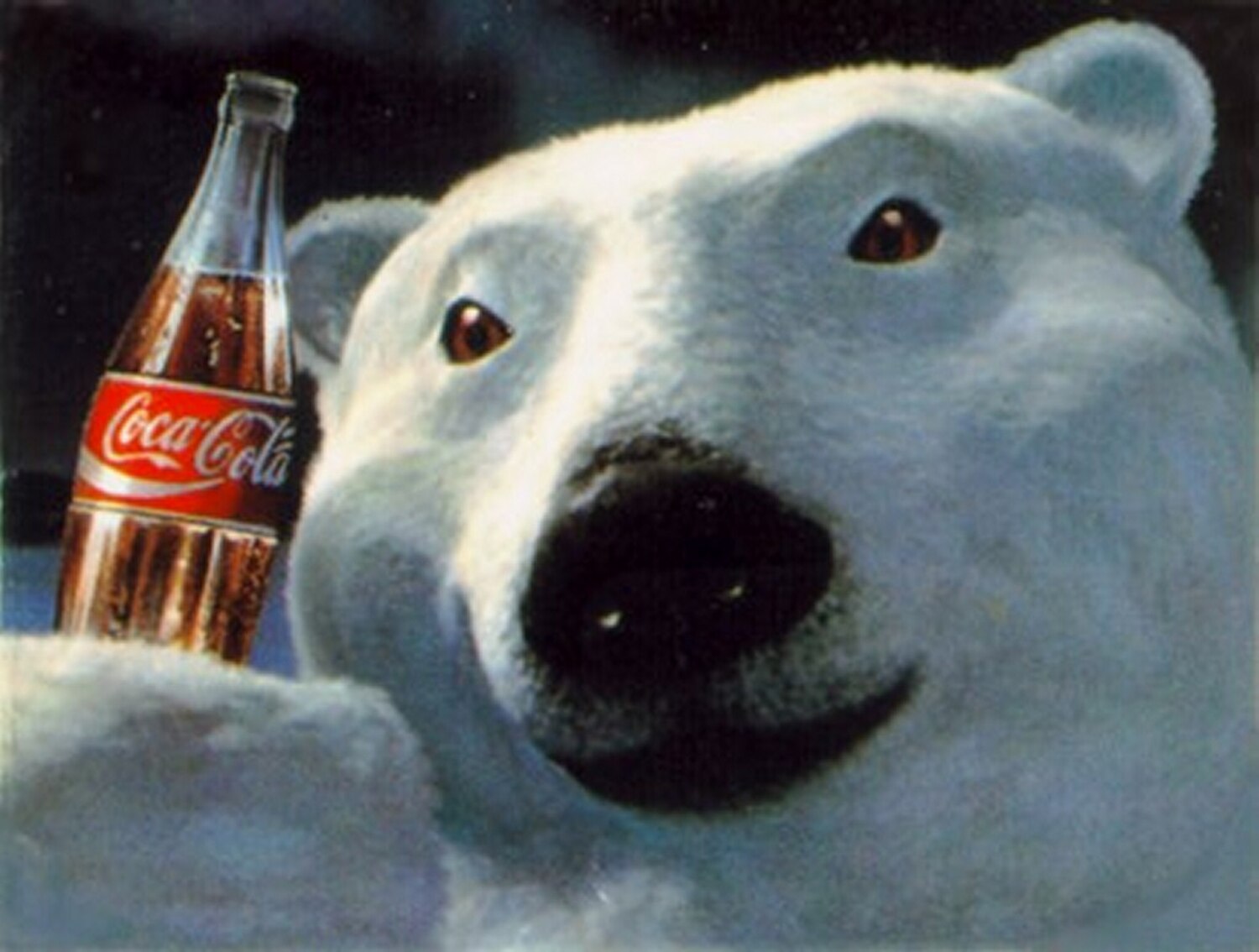 CocaCola Super Bowl Commercial Coke Excels with Trademark Polar Bear