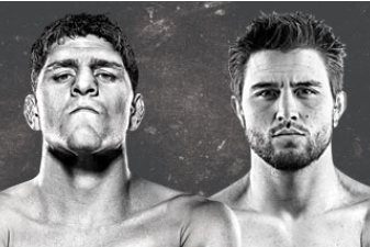 UFC 143 Results: Bonus Recap for Nick Diaz vs. Carlos Condit Fight Card