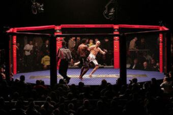 Cage-fighting_crop_north