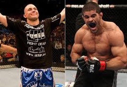 Belcherpalhares_crop_north
