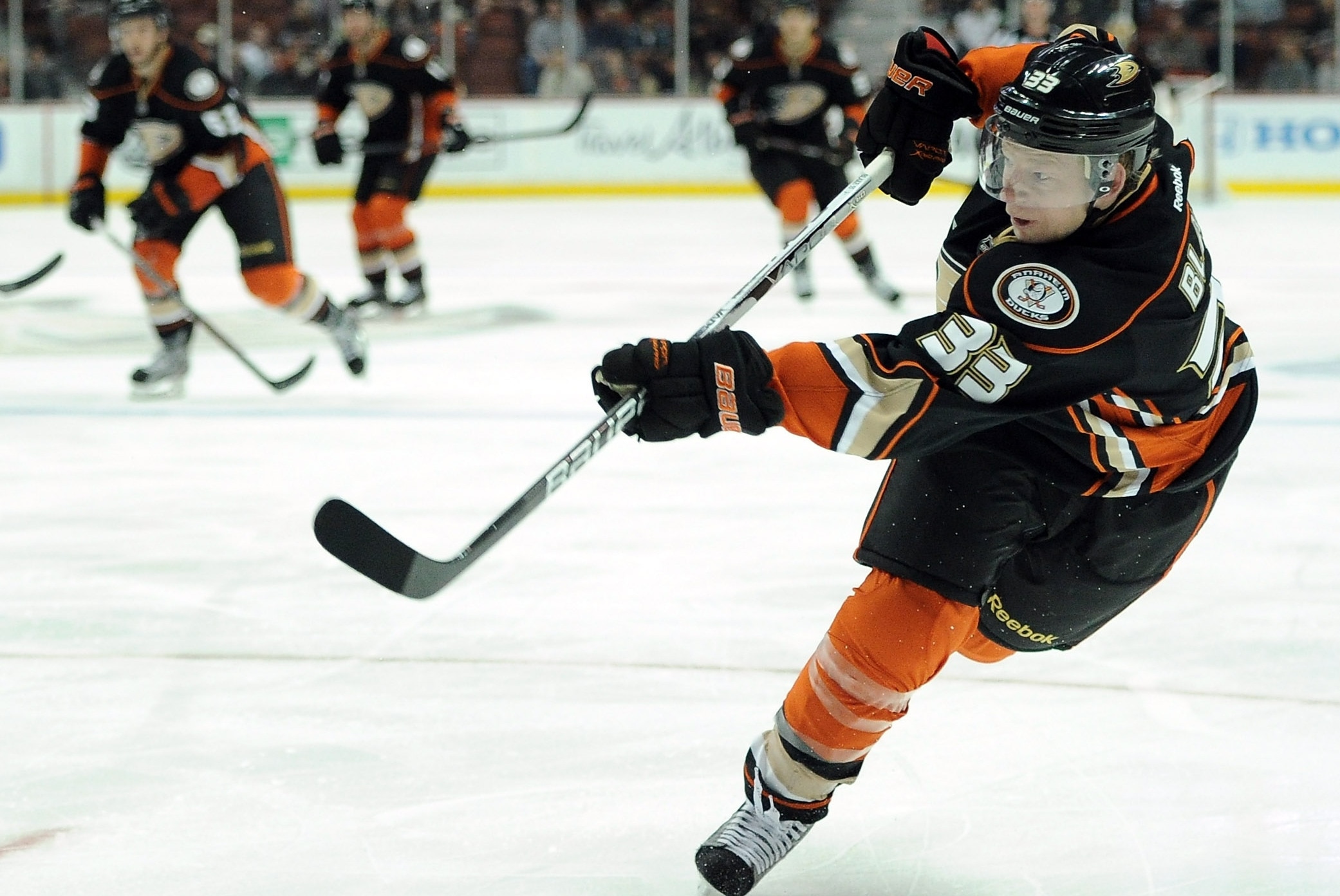 Nhl Ducks