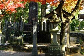 Musashizuka_park_original_original_original_crop_north