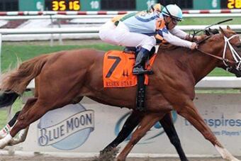 Risenstarstakes_crop_north