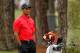 Tiger's snarls get as much attention as his shots these days.