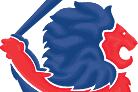 An Interview with Brian Essery, Recruitment Director of Great Britain Baseball