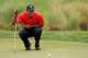 PALM BEACH GARDENS, FL - MARCH 04: Tiger Woods lines up his putt on the 15th hole during the final round of the Honda Classic at PGA National on March 4, 2012 in Palm Beach Gardens, Florida. (Photo by Mike Ehrmann/Getty Images)