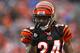 CINCINNATI, OH - NOVEMBER 27: Adam Jones #24 of the Cincinnati Bengals looks to a teammate during the game agains the Cleveland Browns at Paul Brown Stadium on November 27, 2011 in Cincinnati, Ohio. (Photo by Tyler Barrick/Getty Images)