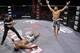 Photo courtesy of Bellator Fighting Championships