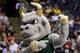 South Florida's mascot cheers on the Bulls during USF's win over Temple.