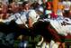10 Oct 1998: Quarterback Sean Davis #16 of the Montana Grizzlies in action during the game against the CSUN Matadors at the North Campus Stadium in Northridge, California. The Matadors defeated the Grizzlies 21-7.