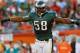 MIAMI GARDENS, FL - DECEMBER 11: Trent Cole #58 of the Philadelphia Eagles celebrates a sack during a game against the Miami Dolphins at Sun Life Stadium on December 11, 2011 in Miami Gardens, Florida. (Photo by Mike Ehrmann/Getty Images)