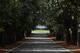 AUGUSTA, GA - APRIL 01: Magnolia Lane's 60 magnolia trees and the clubhouse are seen at Augusta National Golf Club before The Masters on April 1, 2012 in Augusta, Georgia. (Photo by Scott Halleran/Getty Images)