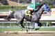 Creative Cause should win the Santa Anita Derby. (Photo via isportsweb.com)