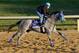 Favored Creative Cause came in second at Santa Anita